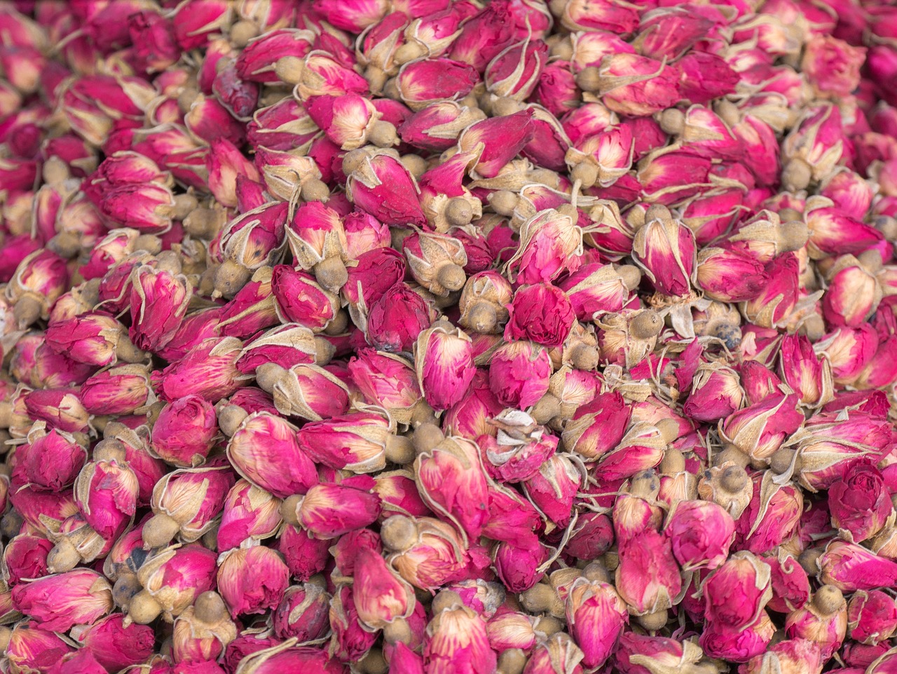تصویر 1 از غنچه گل محمدی صادراتی درجه یک